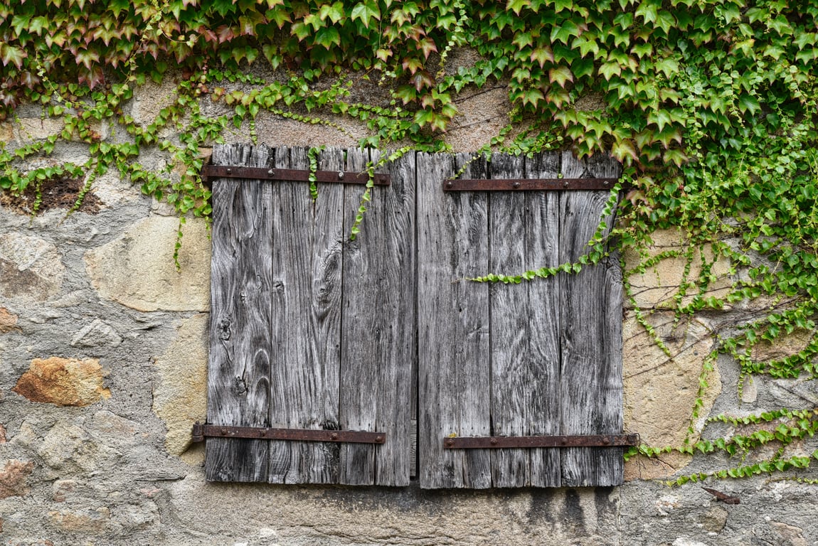 rodent-proofed house exterior
