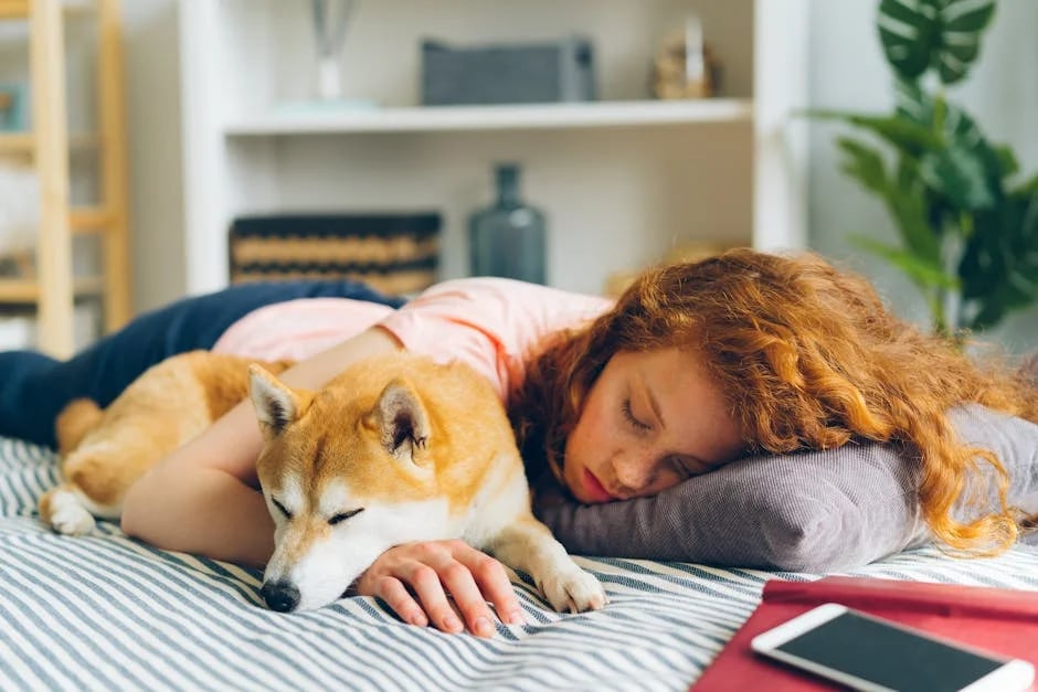 Image describing How to Buy Shiba Inu Coin Top Tips for 2025 Success