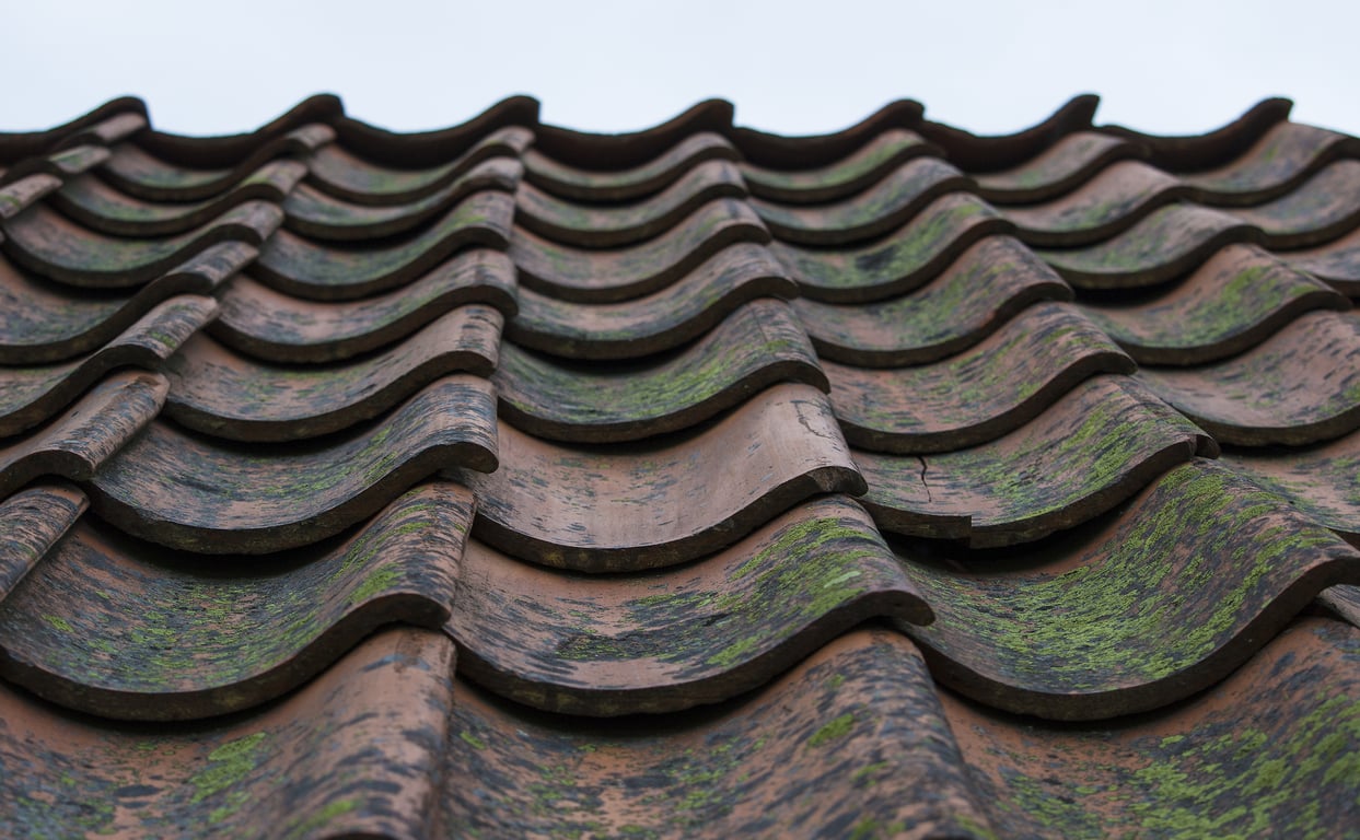 tile roof repair