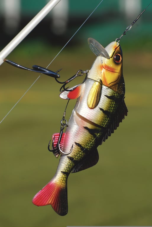 freshwater fishing tackle