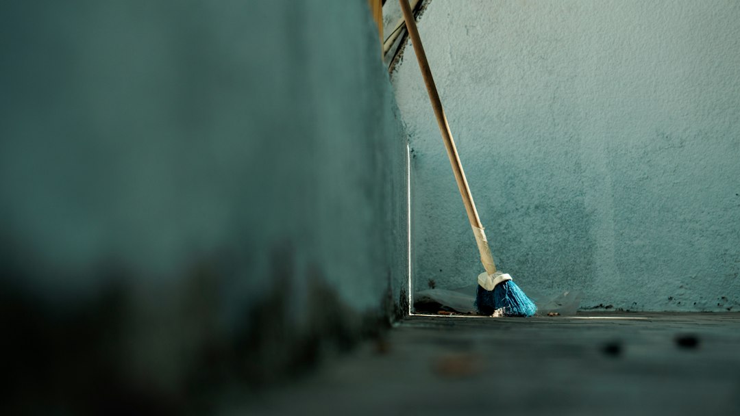 Rat Removal Service: What Homeowners Should Look for Before Hiring