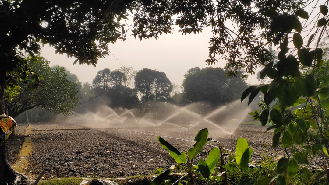 Sprinkler System Installation Cost: What Drives Your Total Price