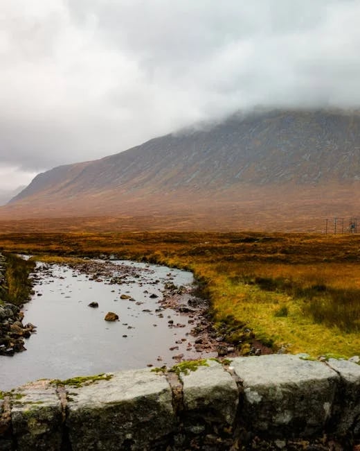 Image describing Top 7 Reasons Logitech C922 Pro is a Must-Have in 2025!