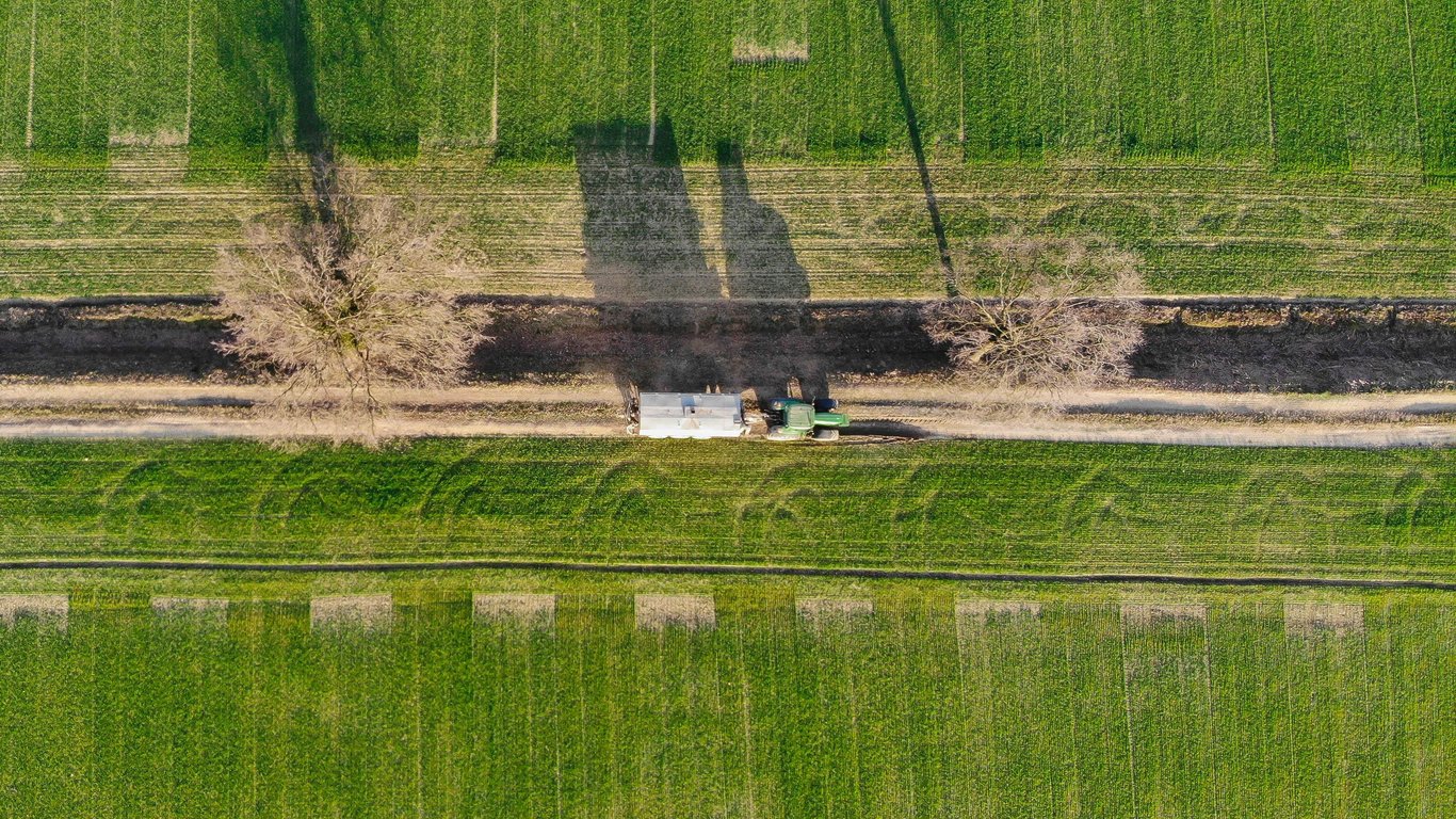 lawn fertilization service