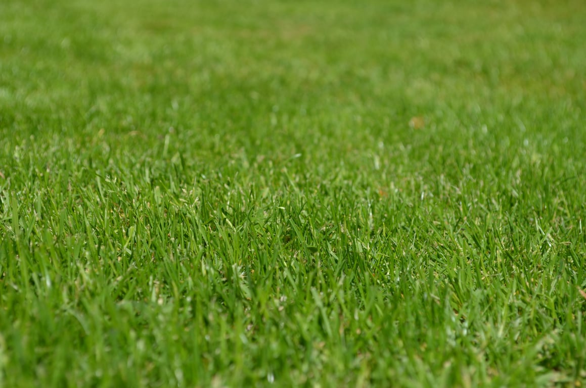 lawn care crew mowing yard