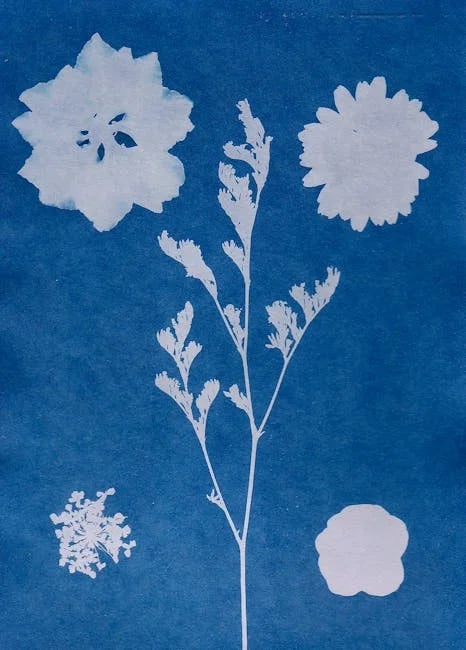 Image describing How to Get 7 Fully Funded Online MBA Scholarships 2026?