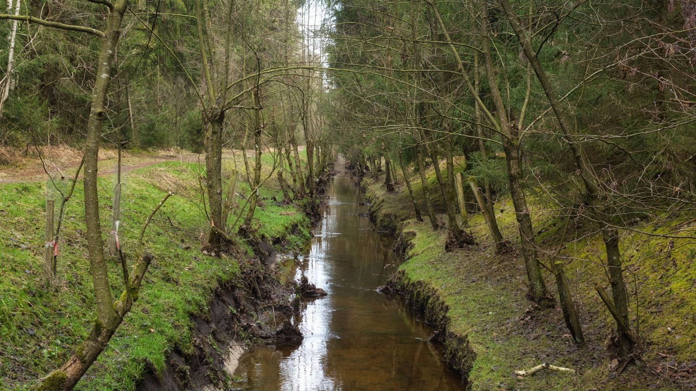garden drainage swale