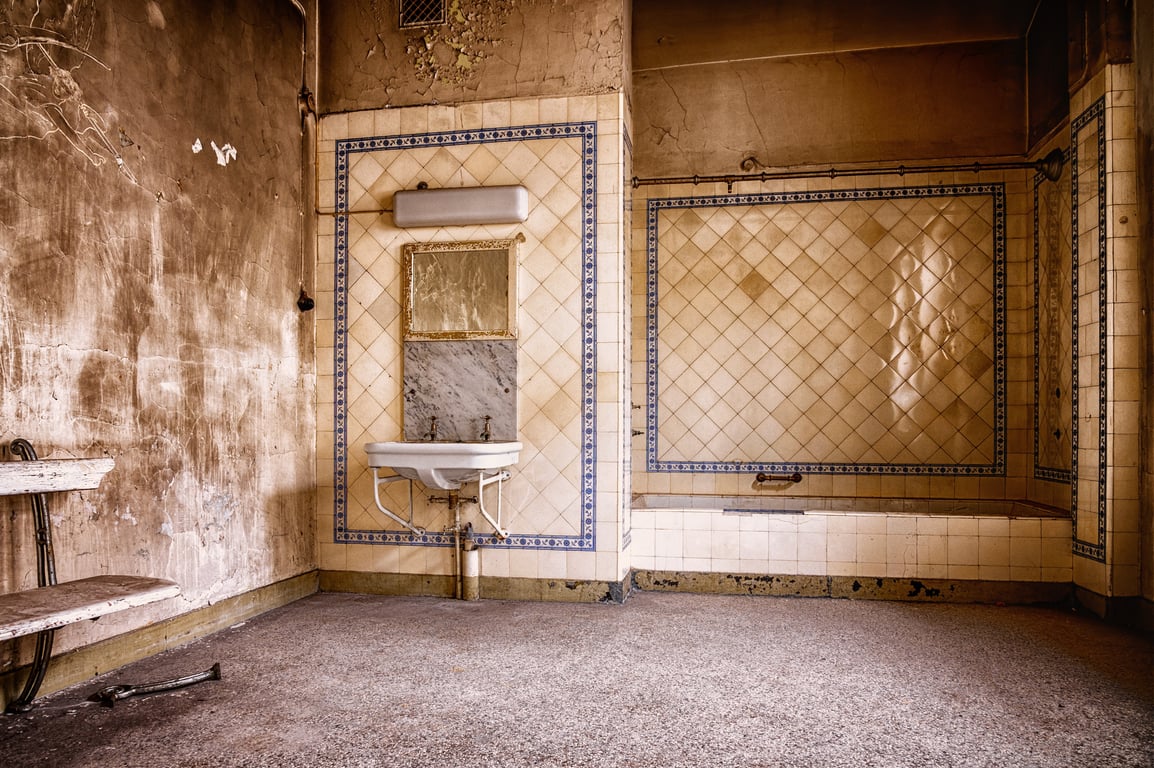 aging in place bathroom grab bars