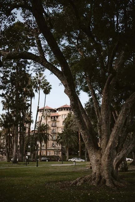 Image describing Top 10 Online Universities in 2025 You Shouldnt Miss!