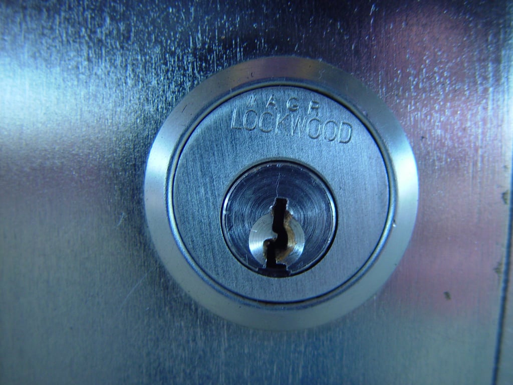 TTLock smart lock