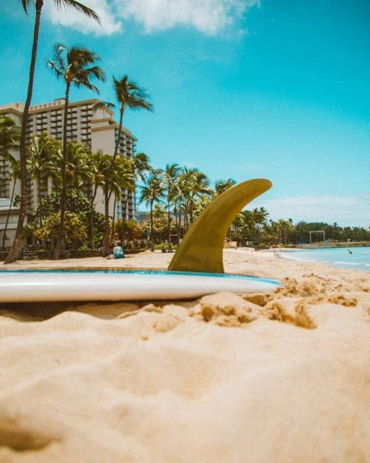 Image describing Discover Waikikis Hidden Castle Explore Now!