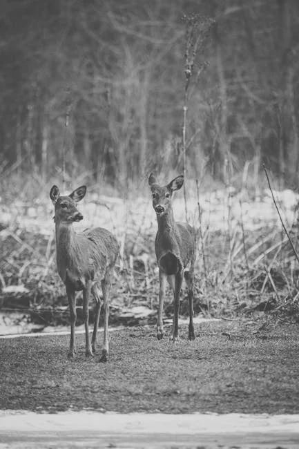 Image describing Discover the Best Timeless Capsule Pieces for 2025!