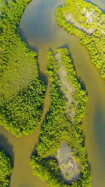 Image describing Best 4K Quality Webcam 2026 Top Picks That Wow?