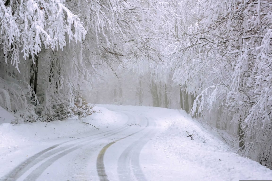 winter tires on snowy road