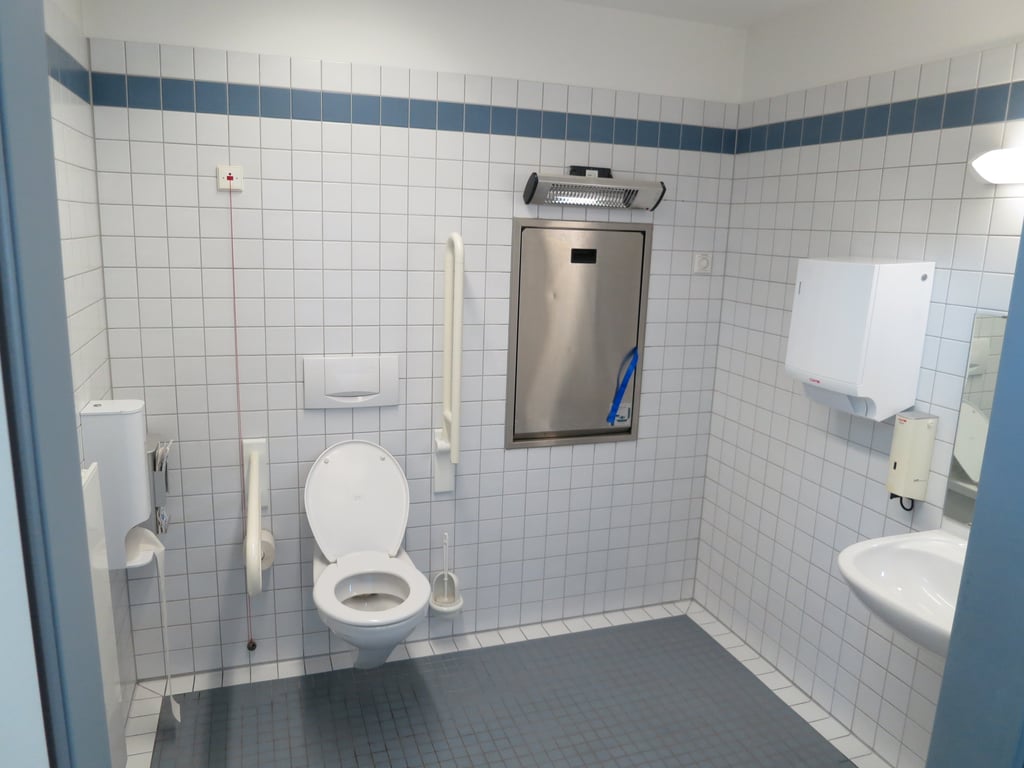 toilet auger