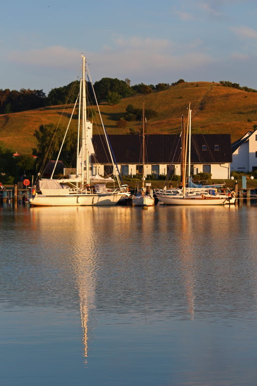 recreational boat marina