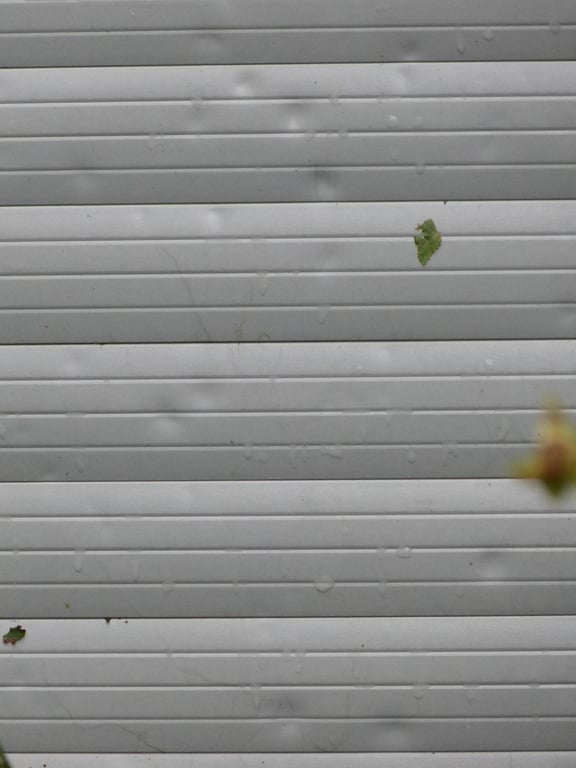 hail damaged metal roof