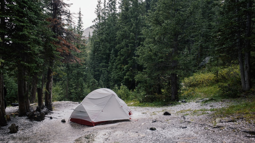 Dispersed Camping Near Me: How to Find Legal, Low-Impact Sites