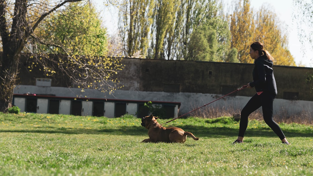 K9 Dog Training: Practical Skills for a Well-Mannered Companion