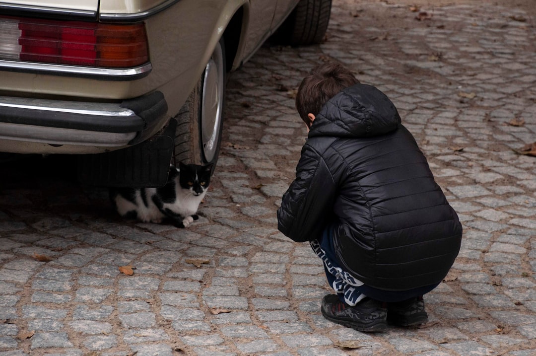 Flat Tire Near Me: How to Choose Safe, Reliable Roadside Tire Help