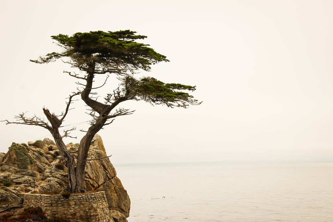 17-Mile Drive Monterey coast