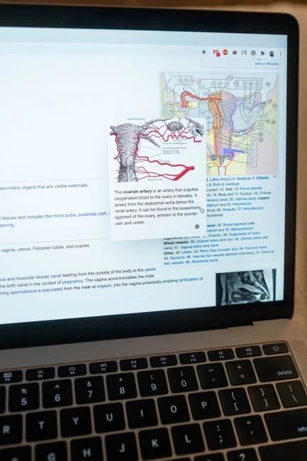 Image describing How to Get the Best Online Biology Degree in 2026 Fast?