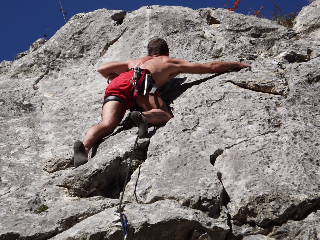 rock climbing harness