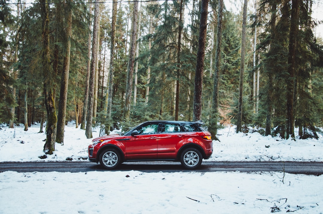 All-Season vs. All-Weather Tires: The Difference That Matters in Winter