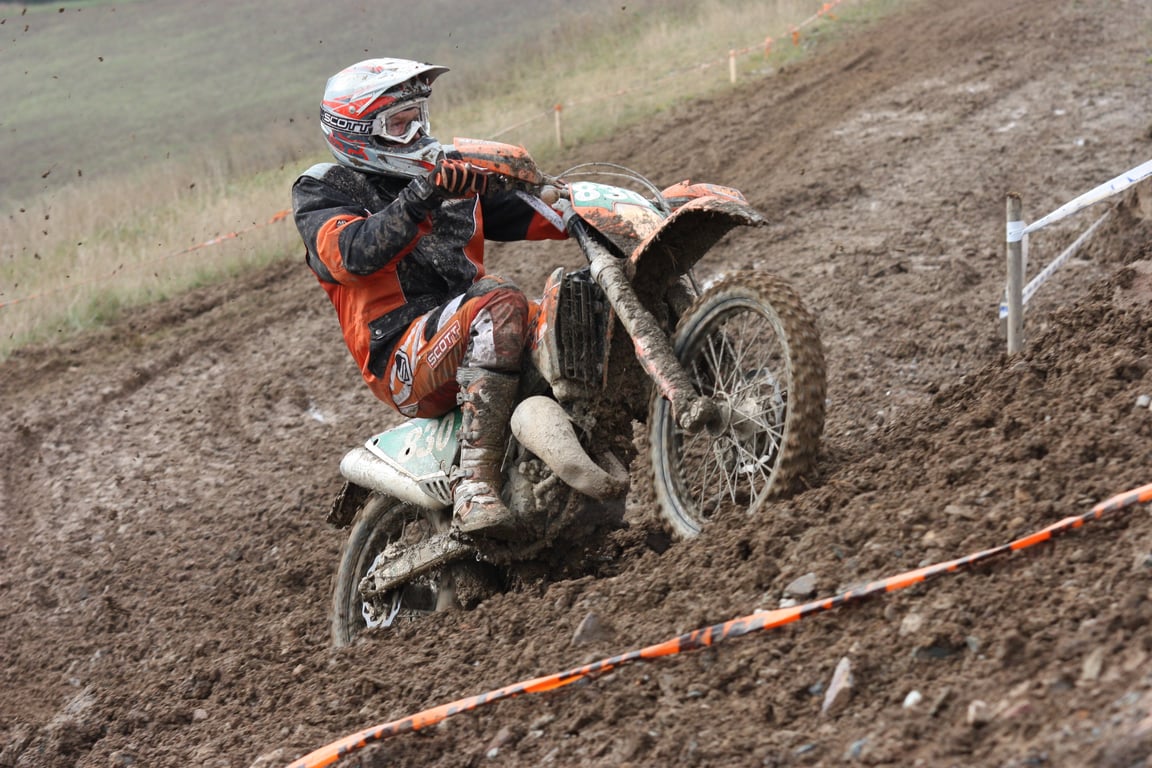 termite mud tubes foundation