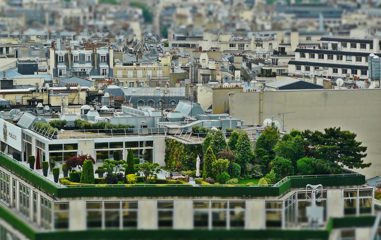roof inspection