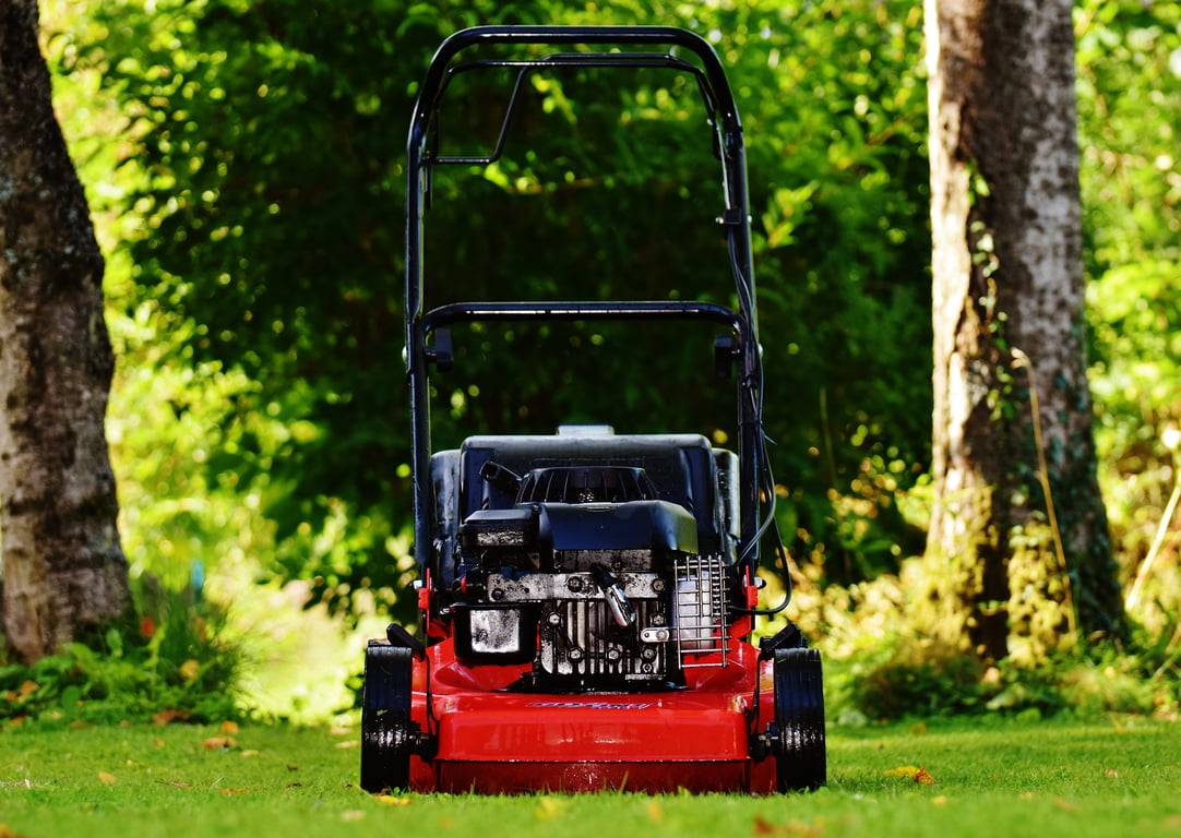 lawn mowing service