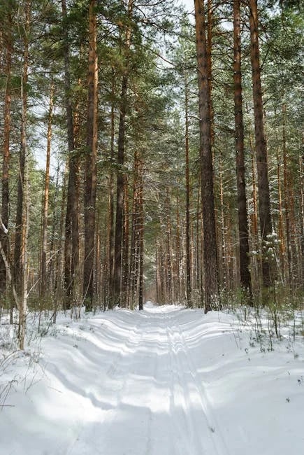 Image describing Best 15 Free Android Games You Must Play Now!