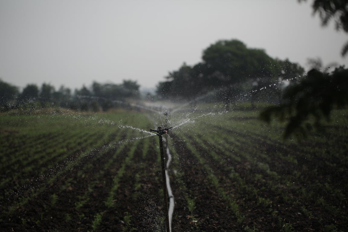 pop-up lawn sprinklers