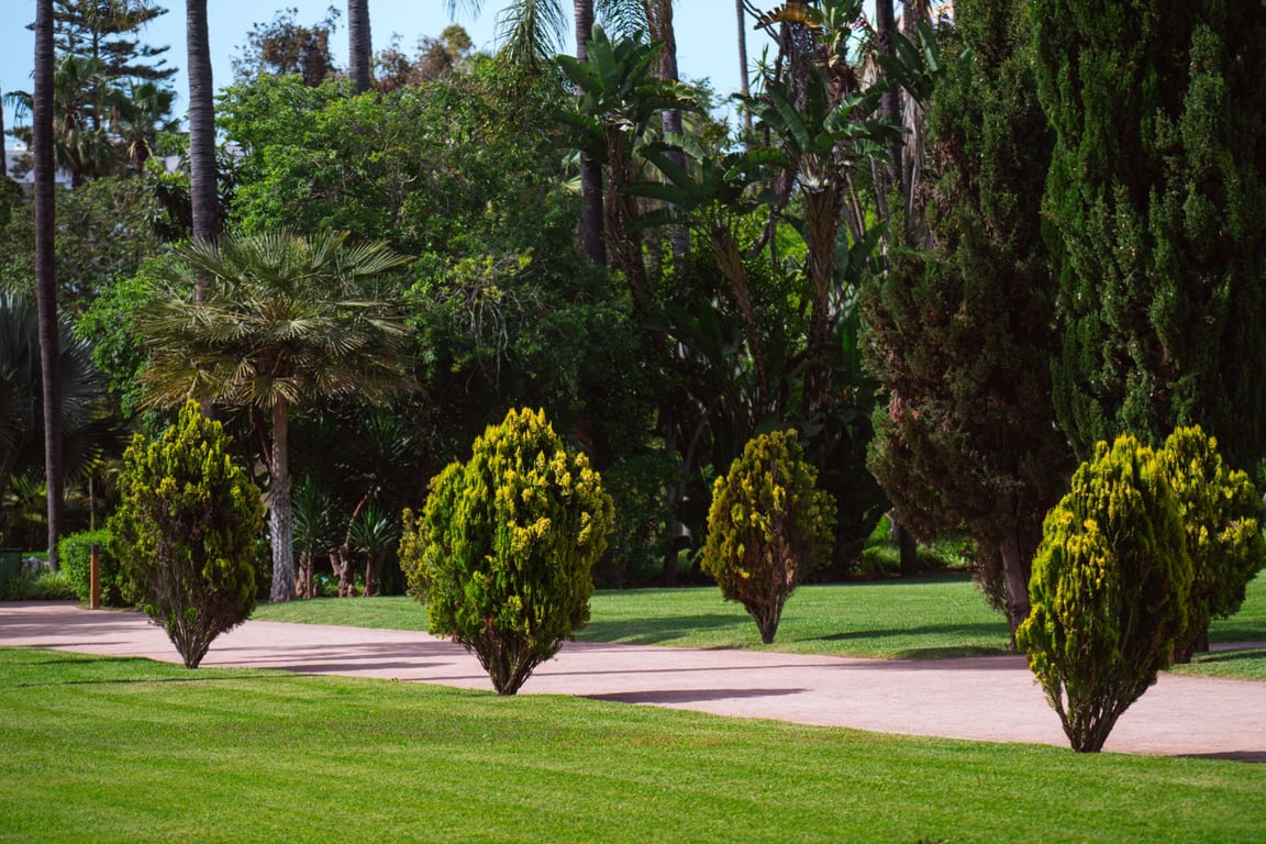 Landscaping Maintenance Near Me: How to Compare Local Services and Choose the Right Fit