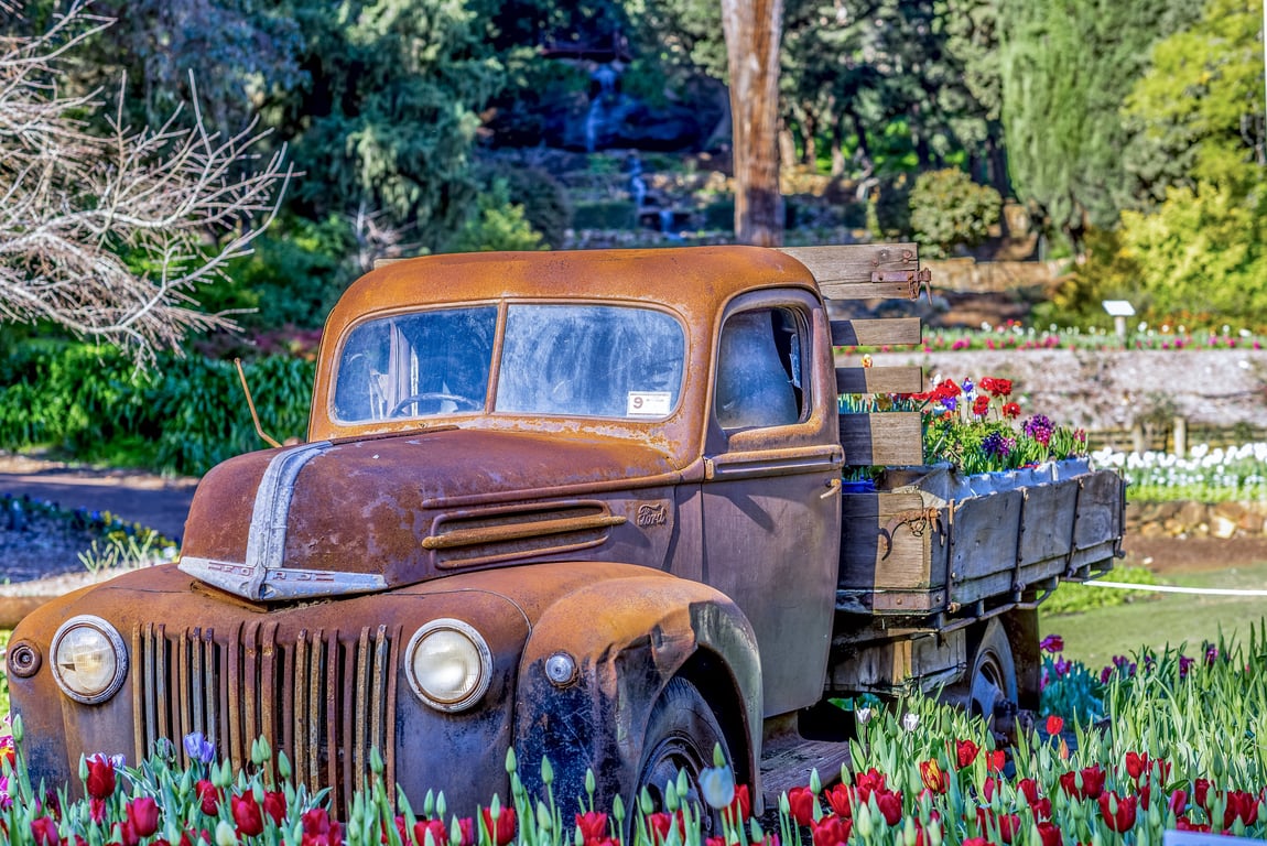 Ford F-150 work truck