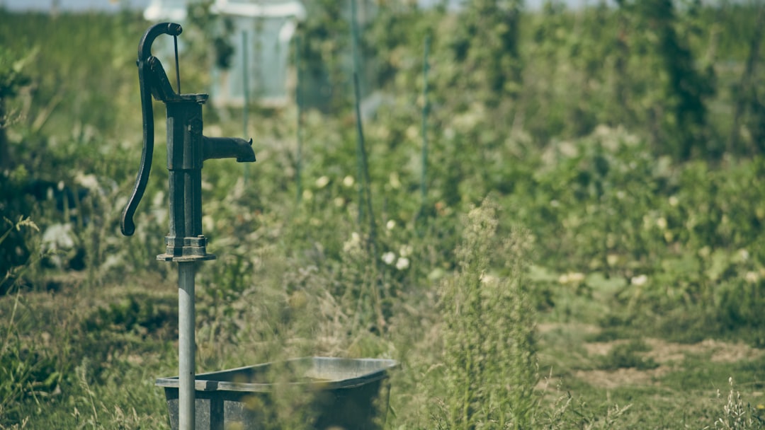 Sump Pump Replacement: When to Upgrade, What It Costs, and How to Choose the Right Pump