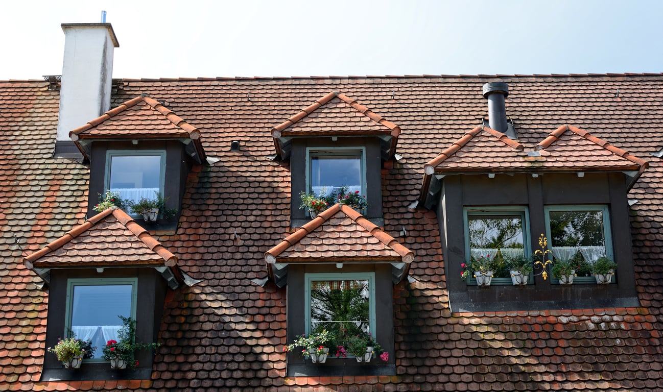 roof replacement shingles