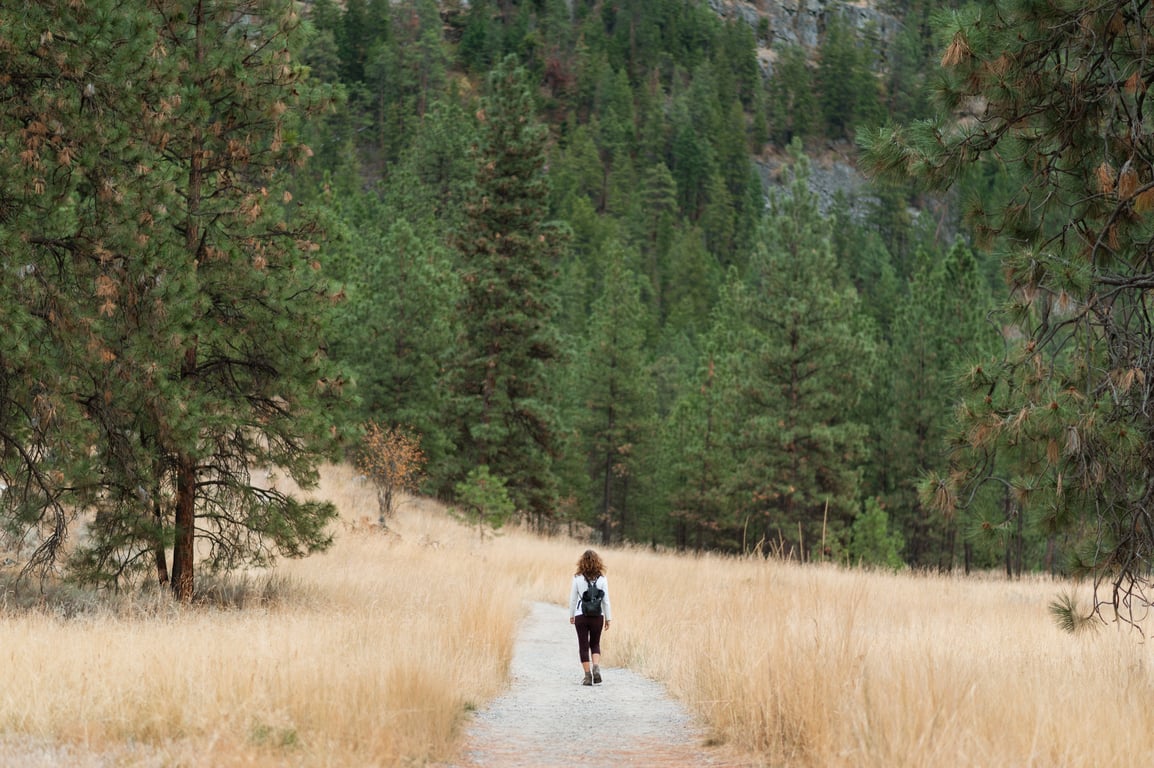 wilderness first aid training hikers
