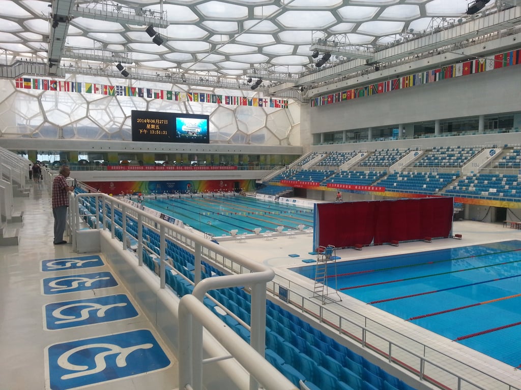 Michael Phelps Signature Swim Spa