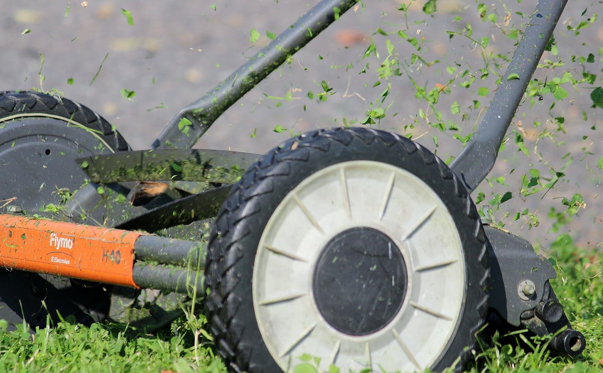 lawn mowing service