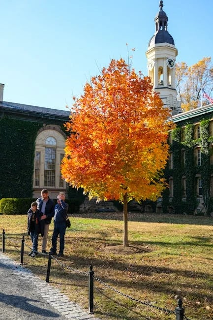 Image describing Top 10 Cheapest U.S. Colleges to Attend Now in 2025!