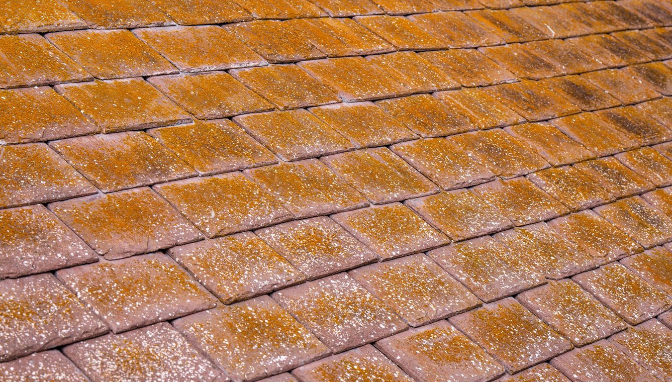 Roof Estimate Cost: What a Detailed Quote Should Include