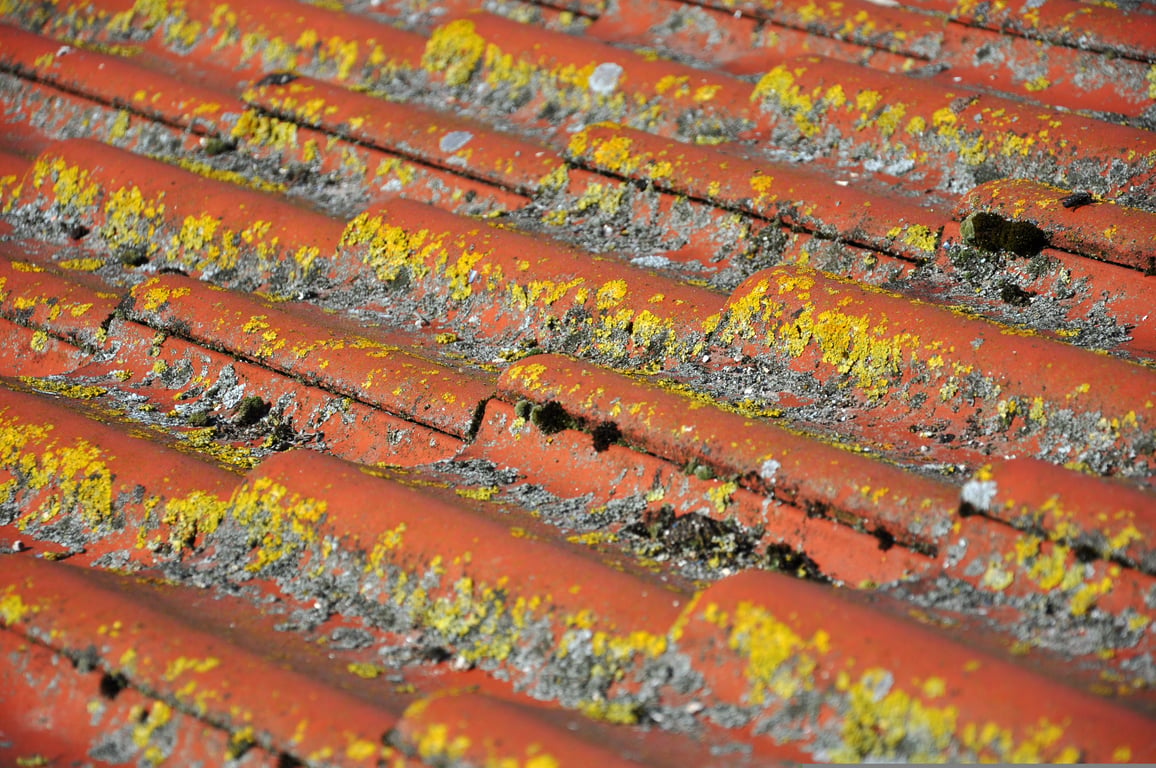 flat roof inspection