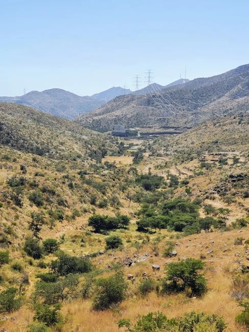 Image describing Top 7 Dreamlight Valley Switch Hacks You Need Now!