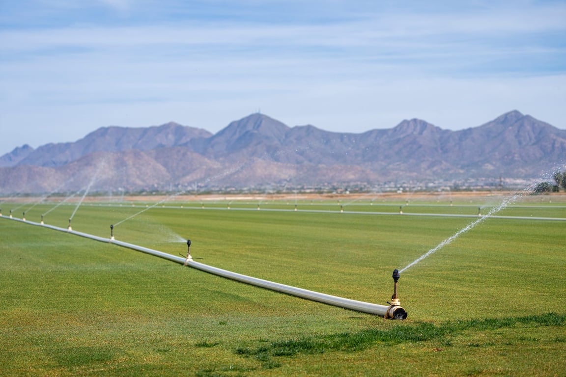 Sprinkler System Repair Cost: What Homeowners Should Expect to Pay
