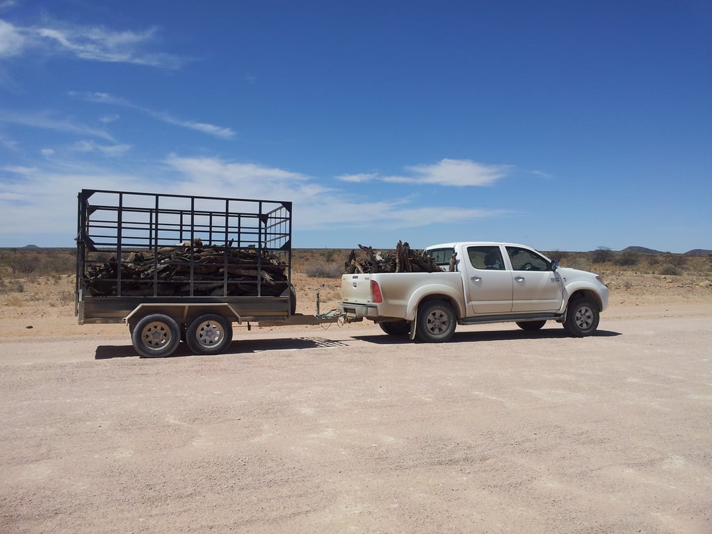 cargo trailer hitch connection