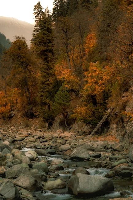 Image describing Top 7 Stream Cameras for 2025 You Need Now!