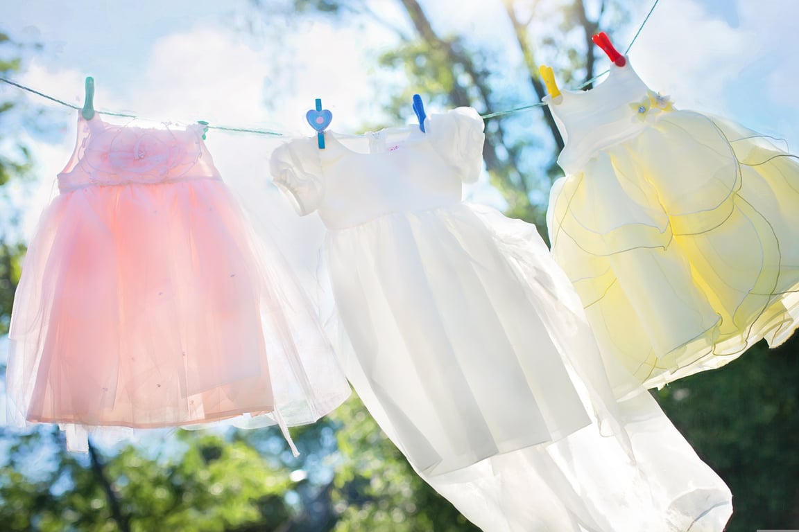 clothes moth damaged wool clothing