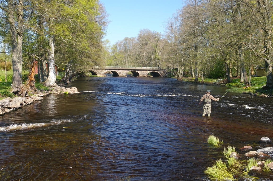 fly fishing stream