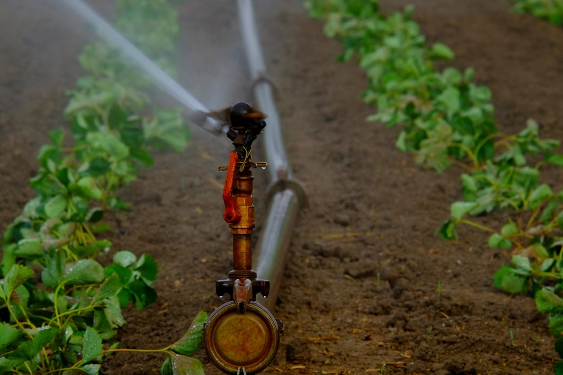 lawn sprinkler irrigation